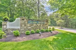 3 Wadsworth Ln, Cheshire, CT 06410 - Photo 39
