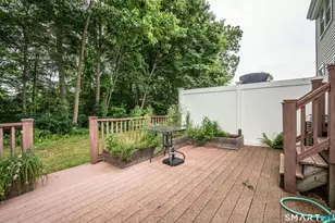 27 Allspice Ln, Glastonbury, CT 06033 - Photo 37