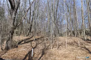 6 Alfredson Ln, Sherman, CT 06784 - Photo 5