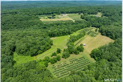317 Bebbington Road, Ashford, CT 06278 - Photo 5