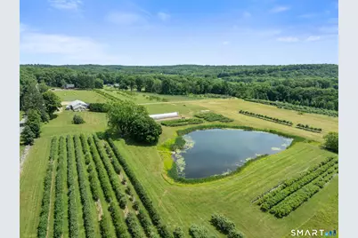 317 Bebbington Road, Ashford, CT 06278 - Photo 7