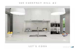 329 Chestnut Hill Rd, Norwalk, CT 06851 - Photo 7