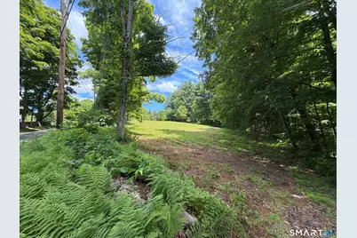 133 Painter Hill Road, Woodbury, CT 06798 - Photo 1