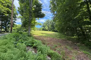 133 Painter Hill Rd, Woodbury, CT 06798 - Photo 1