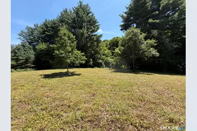 133 Painter Hill Road, Woodbury, CT 06798 - Photo 5