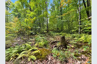 27 Snipsic Lake Road, Ellington, CT 06029 - Photo 39