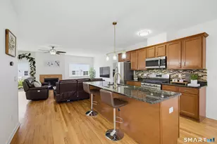 179 Pepin Pl, South Windsor, CT 06074 - Photo 9