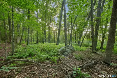37 & 39 Verville Road, Avon, CT 06001 - Photo 7