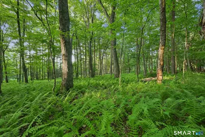 37 & 39 Verville Road, Avon, CT 06001 - Photo 11