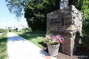 19 Prospect Ridge, Ridgefield, CT 06877 - Photo 3