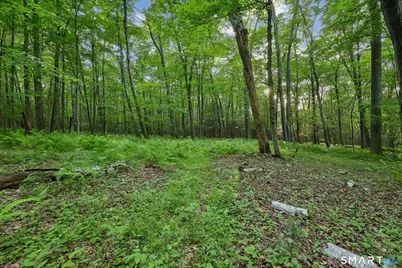 39 Verville Road, Avon, CT 06001 - Photo 15