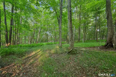 39 Verville Road, Avon, CT 06001 - Photo 13