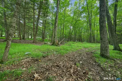 37 Verville Road, Avon, CT 06001 - Photo 15