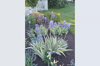 81 Grove Street, Southington, CT 06479 - Photo 29