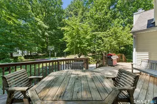 10 Ferris Rd, Newtown, CT 06470 - Photo 37