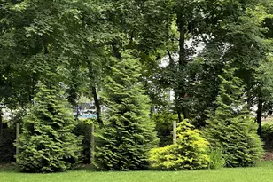 6 David Dr, Simsbury, CT 06070 - Photo 39