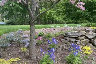 6 David Dr, Simsbury, CT 06070 - Photo 35