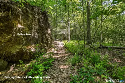 Ashley Road #Lot 6, Winchester, CT 06098 - Photo 9