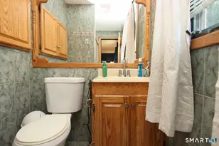 11 Lily Ln, Shelton, CT 06484 - Photo 31