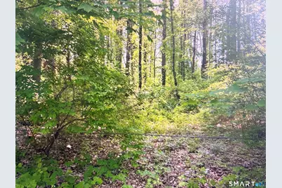 62 Route 126, Canaan, CT 06031 - Photo 1