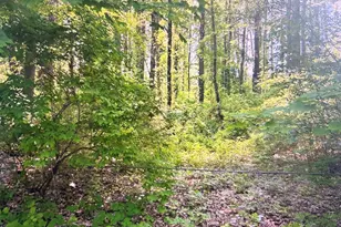 62 Route 126, Canaan, CT 06031 - Photo 1