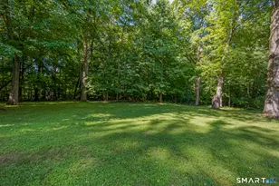 414 Robin Ct, Cheshire, CT 06410 - Photo 25