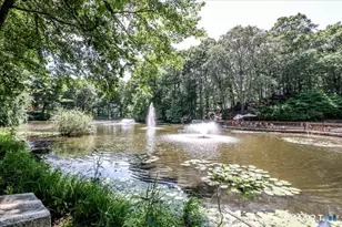 50 Aiken St, Norwalk, CT 06851 - Photo 33