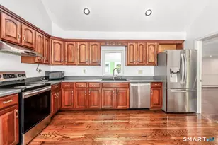 207 Stadley Rough Rd, Danbury, CT 06811 - Photo 13