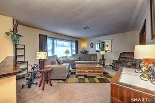 10 Hodio Dr, Ansonia, CT 06401 - Photo 21