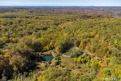 Ives Court, Ridgefield, CT 06877 - Photo 21