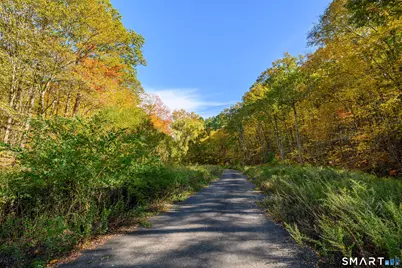 Ives Court, Ridgefield, CT 06877 - Photo 15