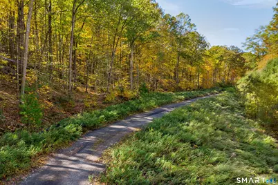 Ives Court, Ridgefield, CT 06877 - Photo 13