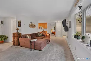 11 Brookside Ct, East Hampton, CT 06424 - Photo 19