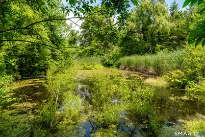 199 Wylie School Road, Voluntown, CT 06384 - Photo 15