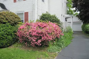 44 Granada Terrace, New London, CT 06320 - Photo 33