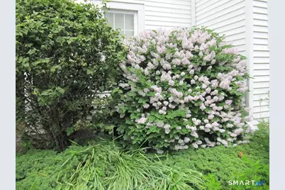 44 Granada Terrace, New London, CT 06320 - Photo 35