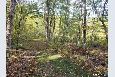 305 Tripp Hollow Road, Brooklyn, CT 06234 - Photo 3
