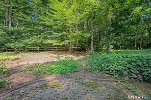 51 Evergreen Ln, Glastonbury, CT 06033 - Photo 31