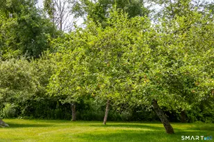 96 Bunker Hill Rd, Salisbury, CT 06068 - Photo 33