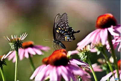 46 Tedesco Drive, Waterbury, CT 06708 - Photo 35