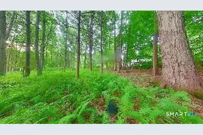 37,39,41,43 Verville Road, Avon, CT 06001 - Photo 19