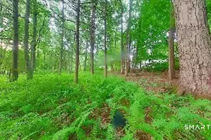 37 39 41 43 Verville Rd, Avon, CT 06001 - Photo 19