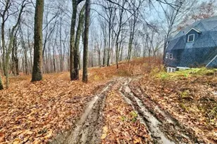 49 Cards Mill Rd, Columbia, CT 06237 - Photo 17