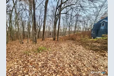 49 Cards Mill Road, Columbia, CT 06237 - Photo 19