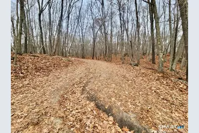 49 Cards Mill Road, Columbia, CT 06237 - Photo 11