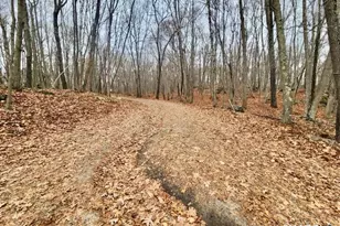 49 Cards Mill Rd, Columbia, CT 06237 - Photo 11