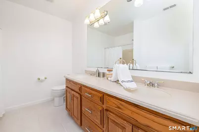 62 Black Walnut Lane, Burlington, CT 06013 - Photo 29