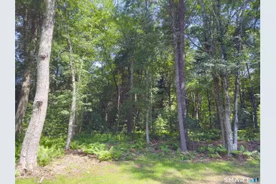 Collelo Avenue, Plainfield, CT 06354 - Photo 1