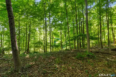 466 Weed Street, New Canaan, CT 06840 - Photo 3
