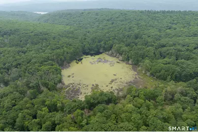13 Woodridge Drive, Barkhamsted, CT 06063 - Photo 39